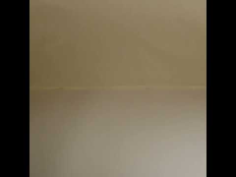 Premium Solid Quilting Cotton by Northcott - Ivory - Colorworks Collection - Image 6 of 6