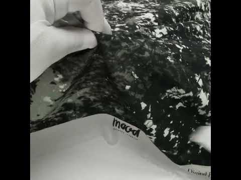 Cotton Voile - Black and White Leafy Branches - Sylvan Spectres Print - Mood Exclusive Twilight Collection - Image 5 of 5
