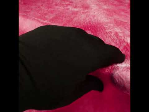 Pegasus Hot Pink Mottled Luxury Brocade - Image 6 of 6