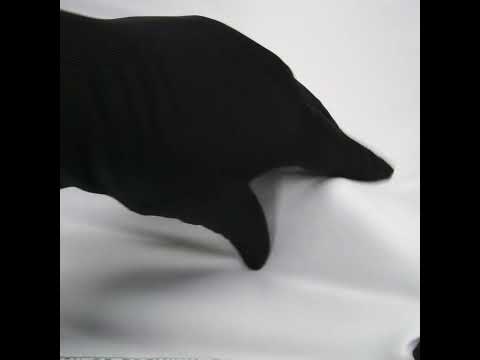 Egyptian Cotton Shirting - Optic White - Giza Collection - Image 5 of 5