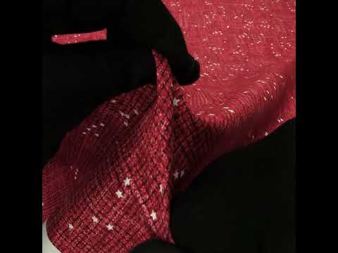 Printed Quilting Cotton by Ghazal Razavi for FIGO Studio - Red Checks and Stars - Stash Collection - Image 6 of 6