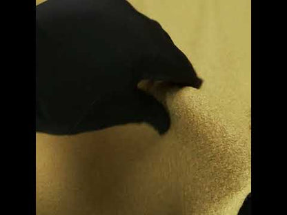 Boiled Wool Coating Fabric - Golden Olive - Ketil Collection